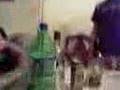 videos de El Codigo