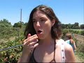 Berry Picking