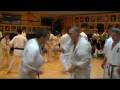 11.2008 Kyokushin belt exam / Övvizsga Orosháza