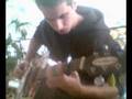 videos de trace bundy i want it that way cover