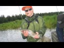 Battle Alaska Fly-Fishing Trip