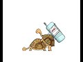 turtles turtles