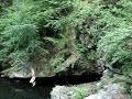 tba-klepto-freestyle.html