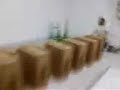 Server Dominos Take 2 Server Dominos Take 2
