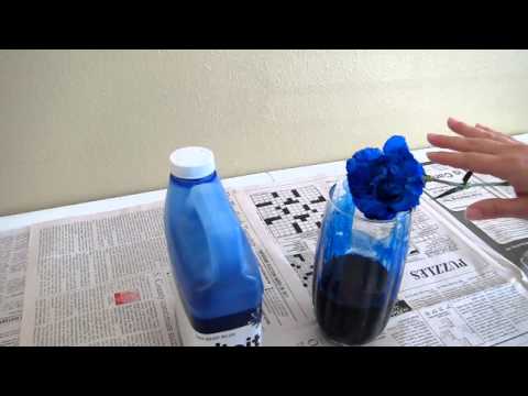 how to dye carnations