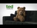 TED - France, Your Team Sucks