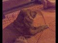 minha-princesa-em-you-are-so-beautiful-joe-cocker.html