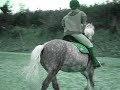 *Superstar Jumping Ponies* *Superstar Jumping Ponies*