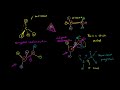 Newman Projections Video Tutorial