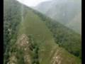 brif de tineo