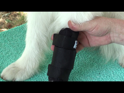 Nature Pet- Carpolock Karpalgelenkbandage PREMIUM