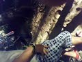 Perdidos en la selva 1