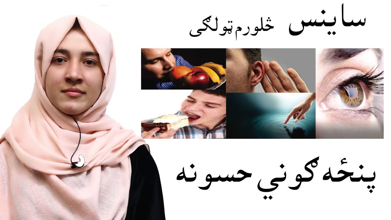 LESSON 2 _ Grade 4 SCENCE / دویم لوست ـ د ساینس مضمون ـ څلورم ټولګی