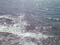 Kuro on the Waves
