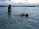 Diesel Swimming off into the Sunset