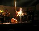 Hjortdal Festival 2005 - The Music