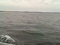 May 17 2008 - VID00011