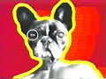 Derozer - 