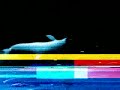 Skai Idents Skai Idents