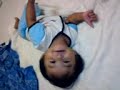 Guling-guling macam tenggiling