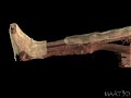 Medical Visualization: Egyptology in 3D