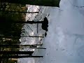 convulsing in snow