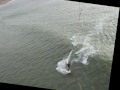 Raf in the waves.mov - 04-13