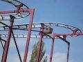videos de le zig zag