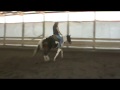 Times Two.wmv