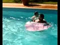 tutti in piscina da mery