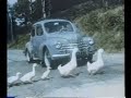 Anuncio renault 4/4