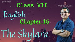 Class VII English Chapter 16: The Skylark