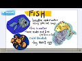 animal1_1.flv