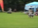 Martina und Josie - Freestyle @ BCC 2008 Martina und Josie - Freestyle @ BCC 2008