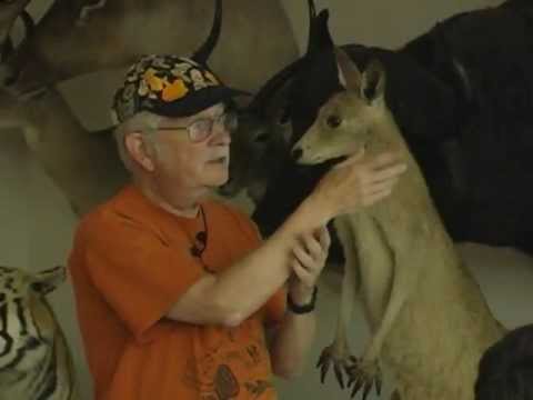 how to know edible mushrooms