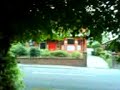 Amazing Floating Foliage