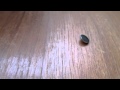 (uploaded by PittyAlex)&nbsp;Strong magnets move through the 20mm chipboard wo