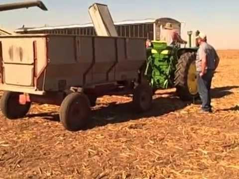 how to harvest field corn