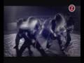 Children of Bodom - Needled