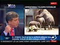 VICTOR-MANEA-ELEFANT