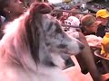 Dog Days of Summer Oaklands As Game- Blue Merle Sheltie