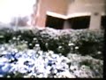 Me in Snowfall...