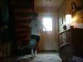 videos de Edoff presentation vid.1