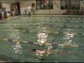 videos de Salisbury Meet - 50 Breast