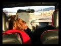 Citroen Ax GT Aceleracion