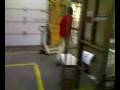 videos de madda