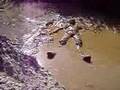 501 mud jump