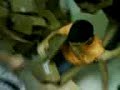 La loca guerra de las Cajas