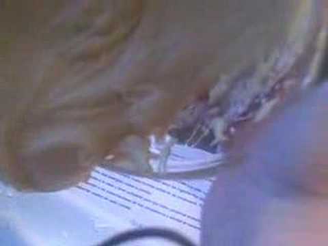 Video: Pastel de Tres Leches 0 Video: Pastel de Tres Leches