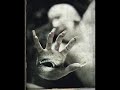 fan clip for one of my favourite artist in the world. i cannot describe how beautiful is her music. an amazing conception of music as pure art and dark poetry. taken from the album 